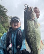 @tomoakikokubo ✨✨
アルフハイトプロスタッフの小久保さんです🚤

アメ☔️カゼ🌪️ともに強く人間的には最悪のコンディションの中、いつもの津久井湖です

そしてこの日は完全魚探レス
(釣りが終わった後の雨に打たれながらの片付けをなるべく短時間で済ませたかっただけですが…)

時折強くなる風雨に心折れそうになりながらもカバーからはライズハンズクロー3.5"のテキサスリグで40upをなんとか引きずり出し、シャローのベイトを追っているであろうアフター回復系のバスをもうすぐ発売予定のLit3.5"の巻き巻きで仕留めることに成功！

そうしているうちに雷が鳴りだしたので敢え無く撤収でした

雨で携帯カメラのレンズが曇っているのもわかっていながらも早く撮ってしまおうと急ぎ焦りながら撮影したので写真の写りが悪いのですがお許しくださいませ😅

とのお話、ナイスフィッシュでした👍👍✨

#ALFHEID
#アルフハイト

#ライズハンズクロー
#テキサスリグ
#カバー撃ち
#Lit
#リット
#巻き巻き

#オクタルクローラー
#クイックダンスストレート
#ジャギドギル

#バス釣り
#bassfishing 
#矢口釣具店 
#津久井湖